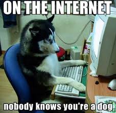 internet dog